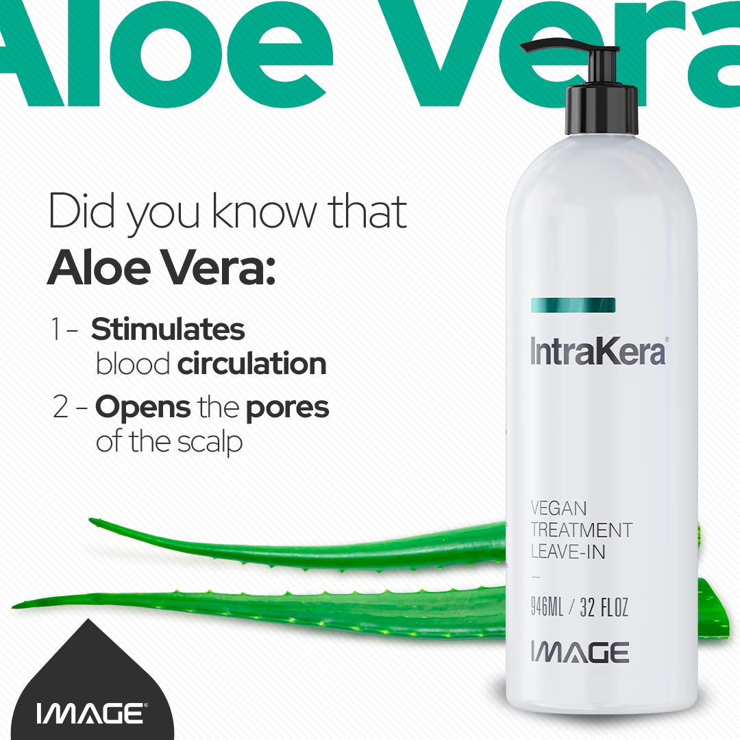 Unleash the transformative potential of Aloe Vera for your hair.