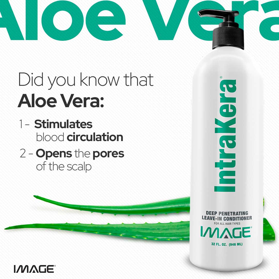 Unleash the transformative potential of Aloe Vera for your hair.